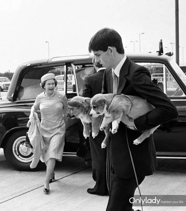 私人飞机？名牌包包？明星合影？这些宠物竟然这么大牌！