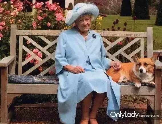 私人飞机？名牌包包？明星合影？这些宠物竟然这么大牌！