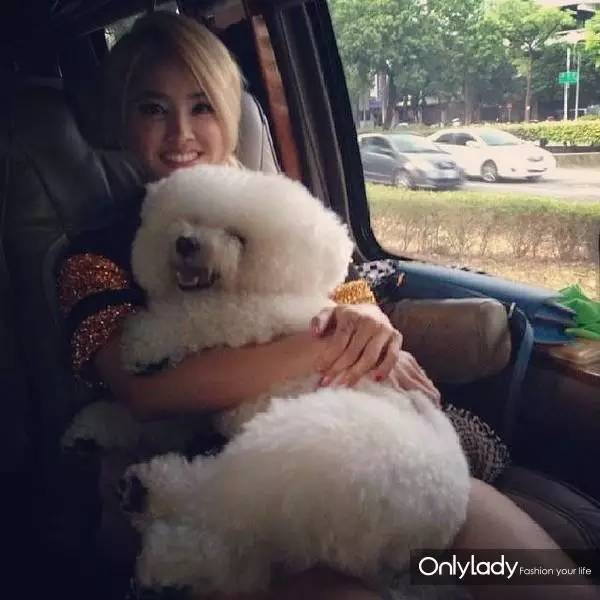 私人飞机？名牌包包？明星合影？这些宠物竟然这么大牌！