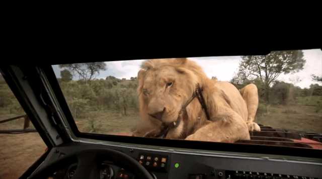 目前最受欢迎的一款越野车,唯一一款大型硬派越野车