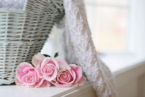 意境唯美图片小清新文字,手机壁纸高清小清新唯美图片