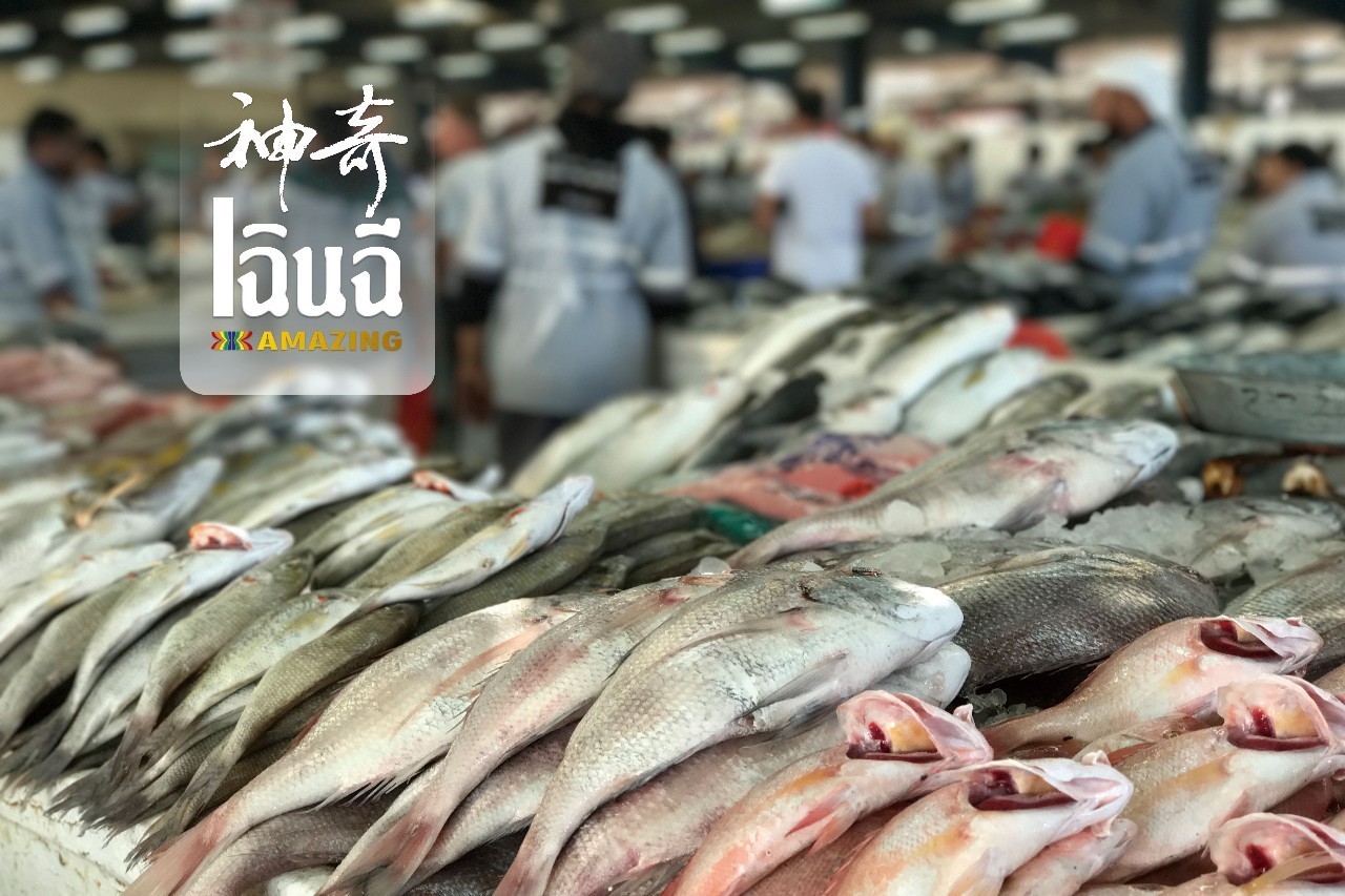 穿越沙漠到迪拜,大世界之旅阿联酋