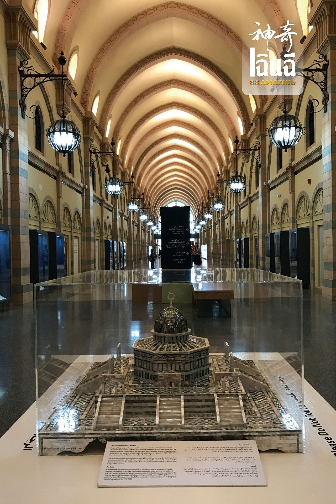 穿越沙漠到迪拜,大世界之旅阿联酋