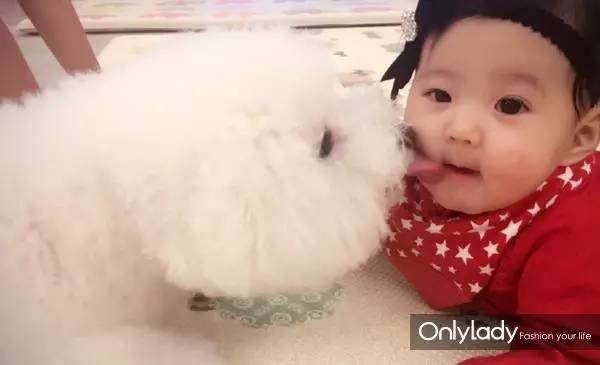 私人飞机？名牌包包？明星合影？这些宠物竟然这么大牌！