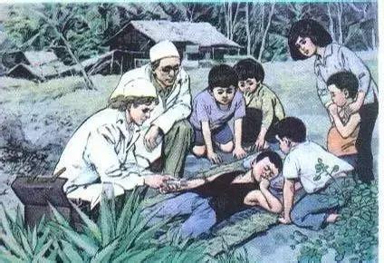 岳阳记忆，8090后经典小学课本插画，你还能认出几个？