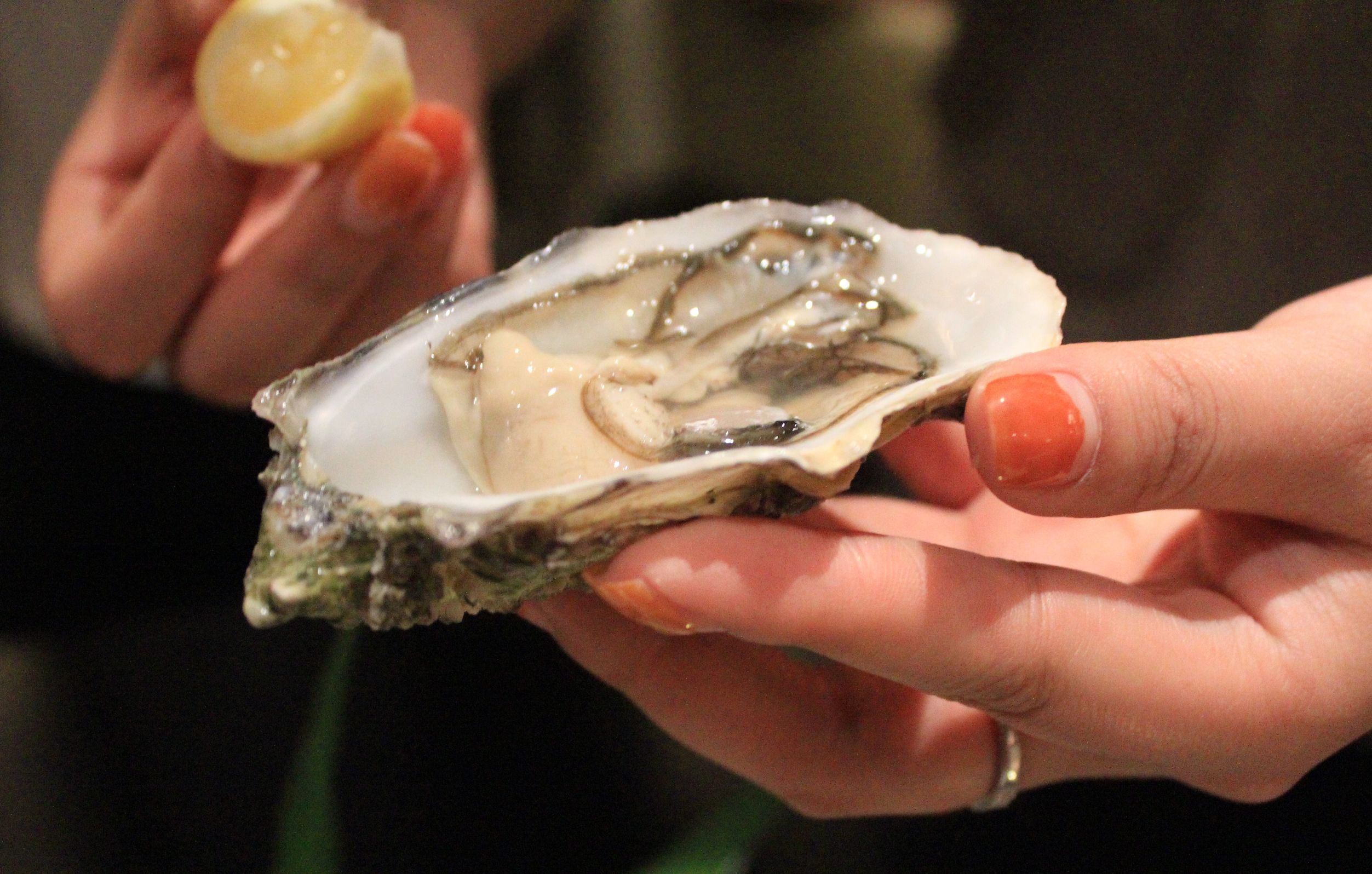 一入“蚝”门深似海，在南京LC把大海吃下去