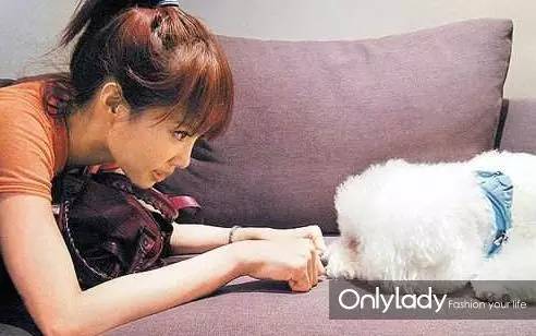 私人飞机？名牌包包？明星合影？这些宠物竟然这么大牌！