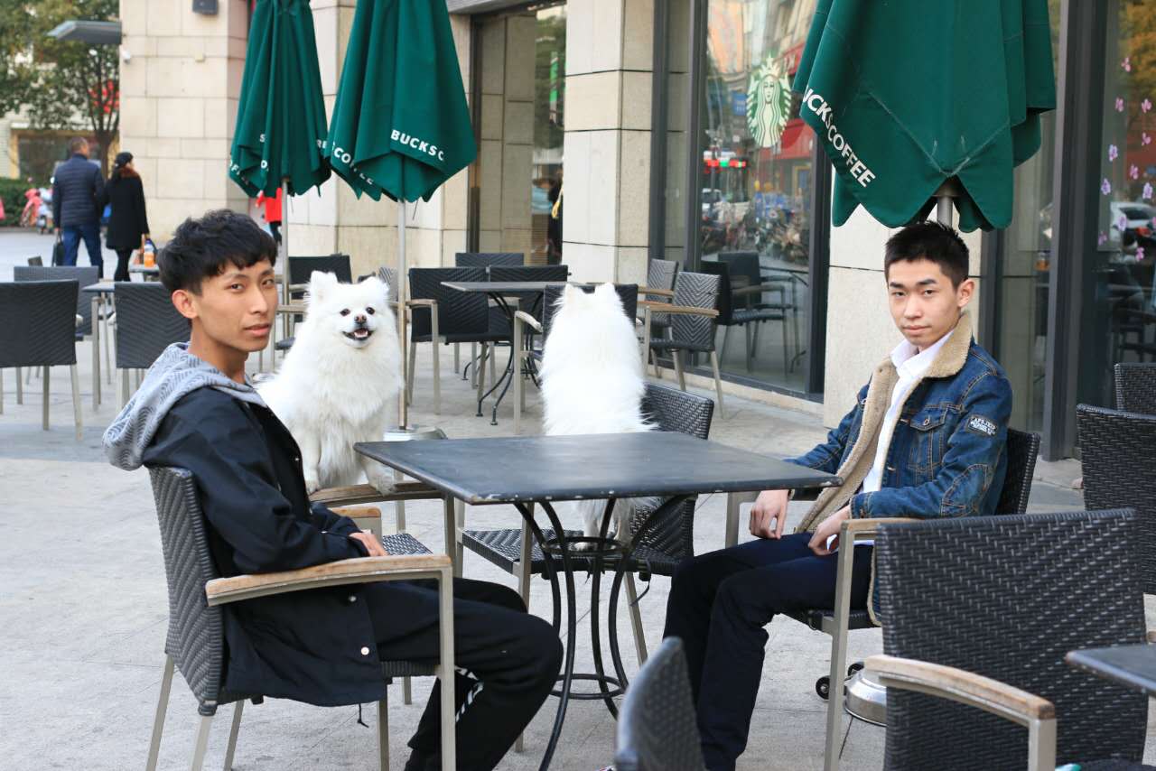 ag超玩会梦泪直播2020年kpl比赛,ag超玩会2019kpl比赛视频梦泪