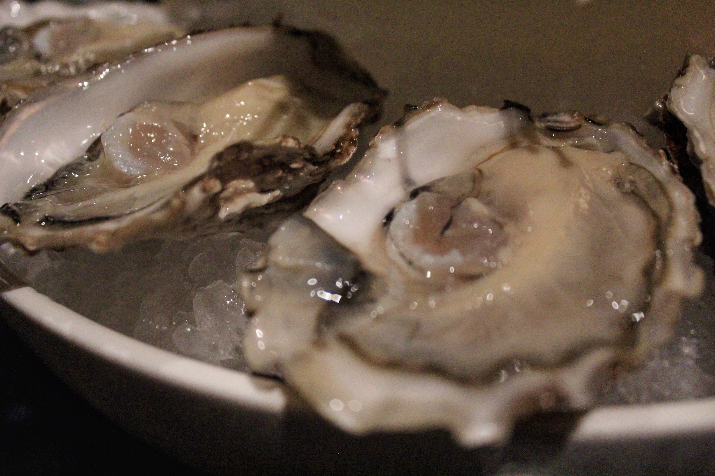 一入“蚝”门深似海，在南京LC把大海吃下去