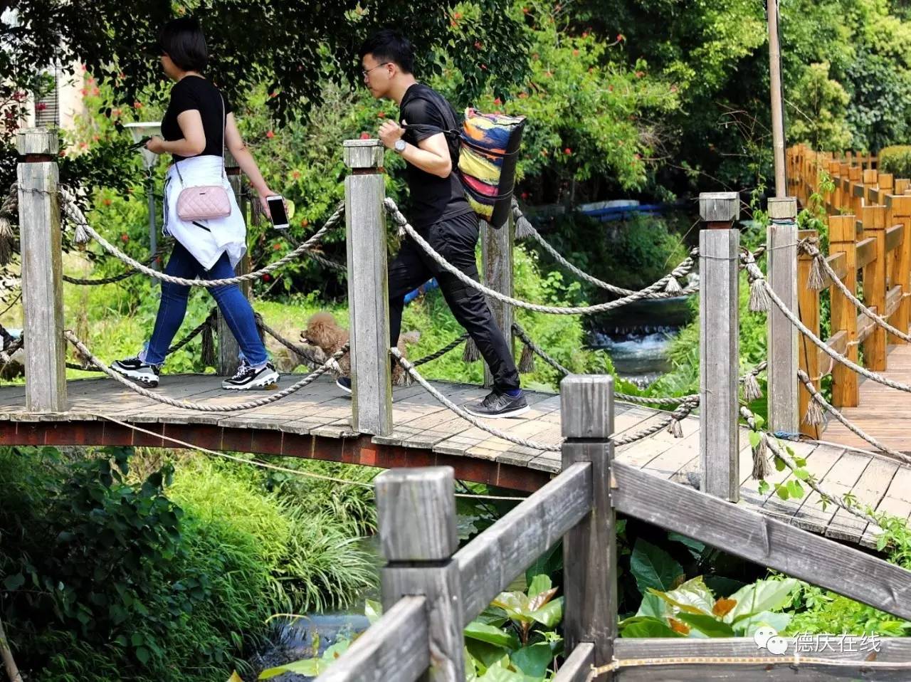 不用去罗平也可以看油菜花,不用去日本也能看的樱花海