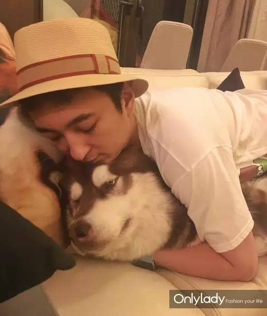 私人飞机？名牌包包？明星合影？这些宠物竟然这么大牌！