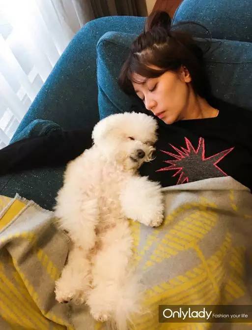 私人飞机？名牌包包？明星合影？这些宠物竟然这么大牌！