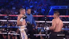 正架和反架的比赛,洛马琴科vs加西亚视频完整版