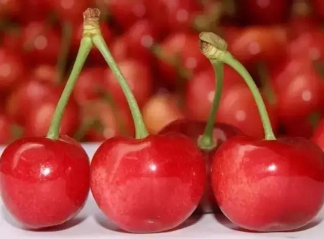 樱桃品种大全一览表,2021年十大樱桃品种排名前十名