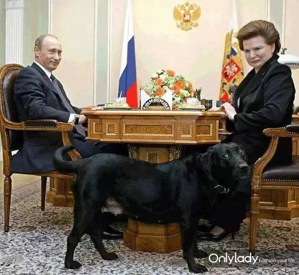 私人飞机？名牌包包？明星合影？这些宠物竟然这么大牌！