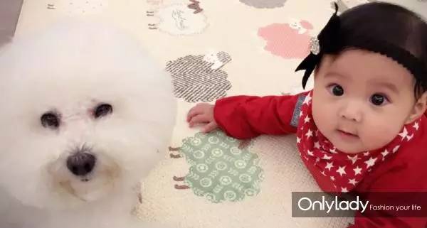 私人飞机？名牌包包？明星合影？这些宠物竟然这么大牌！