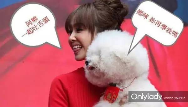 私人飞机？名牌包包？明星合影？这些宠物竟然这么大牌！