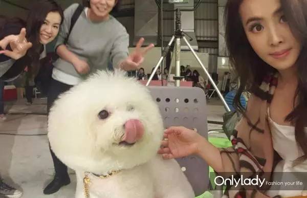 私人飞机？名牌包包？明星合影？这些宠物竟然这么大牌！