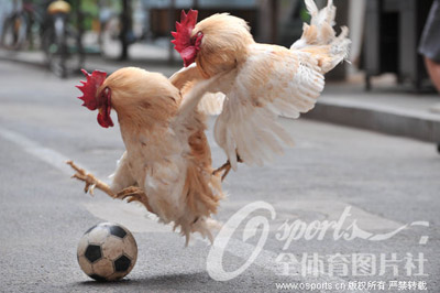 足球笑话大全100个,足球笑话系列