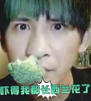 大张伟17岁歌曲,大张伟没听过的歌就能唱出来