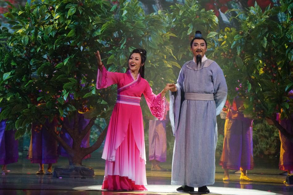 苏东坡与王朝云在西湖,苏东坡西湖遇见王朝云