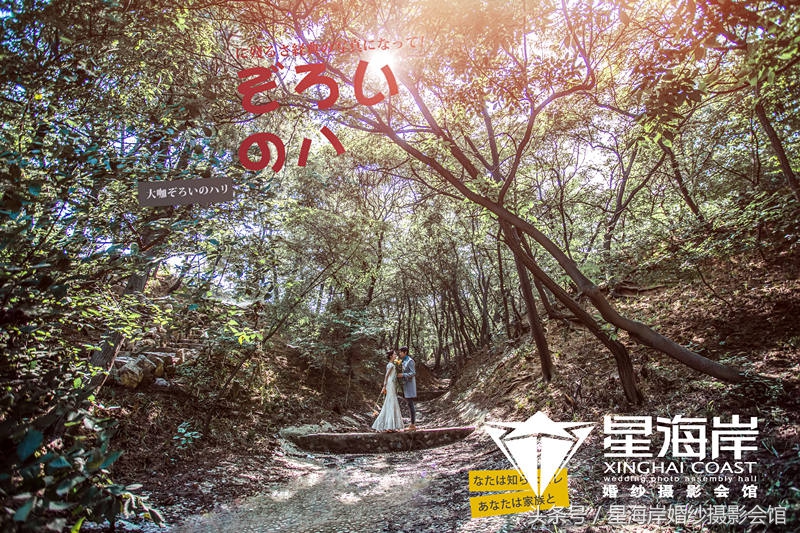 拍摄婚纱照的婚纱怎么选,婚纱照必须要拍摄的风格