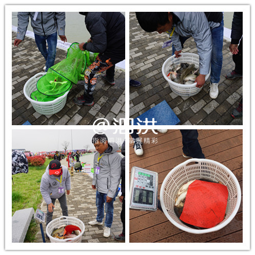 泗洪洪泽湖国际垂钓大赛开幕,泗洪洪泽湖大圆塘休闲垂钓邀请赛