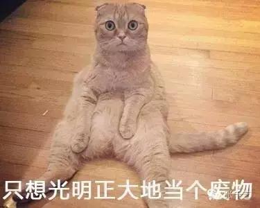 可恶的微信公众号，我再也不会把你当老大了！