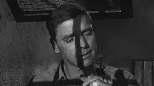 电影一座神奇的监狱,一个监狱在一个岛上电影