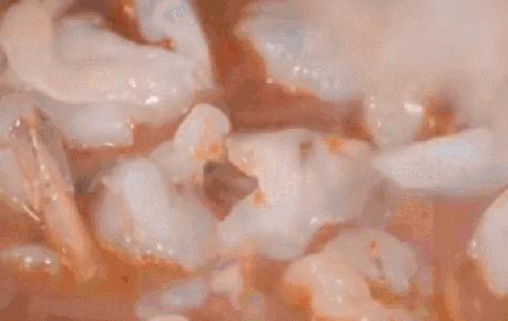 蒜蓉蝴蝶虾湘菜,长沙口味虾湘菜做法