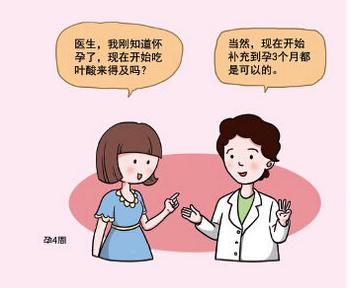 叶酸是备孕期间吃还是备孕前吃,备孕期间叶酸要吃多久才能备孕