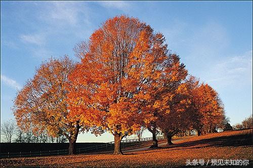 零基础ps抠图换背景详细步骤,ps局部换背景图片教程
