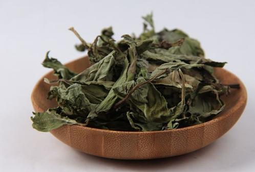 风热型清热解毒感冒药有哪些,薄荷治风热感冒多久有效果