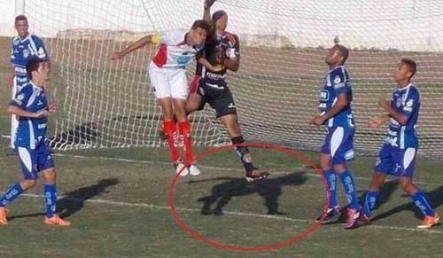 体育场上的搞笑瞬间合集,体育赛场上的爆笑瞬间