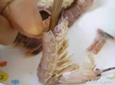 二月吃什么皮皮虾最合适,多少月份能吃到肥美的皮皮虾