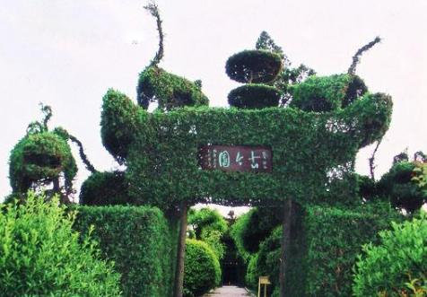 世界那么大！我想去看看之山东菏泽！