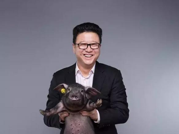丁磊养猪成功案例,丁磊养猪的创业思维