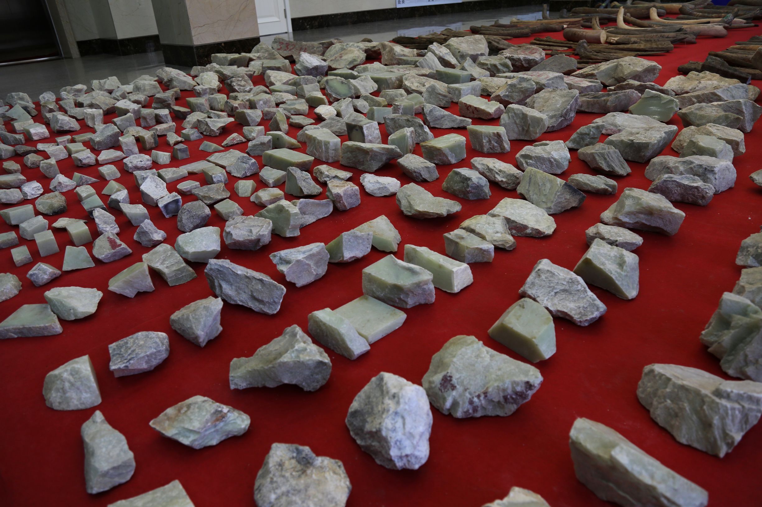 哈尔滨海关查获猛犸象牙,内蒙古海关查获特大象牙