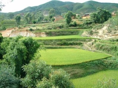 农村种植补贴新政策信息,怎样才能享用农民种植补贴政策