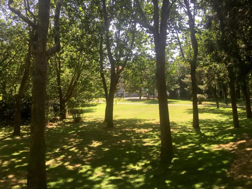 北戴河海滩有哪些好玩的,北戴河浴场沙滩哪个好