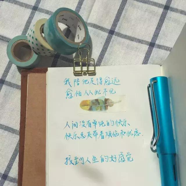 lamy限量版有哪些颜色,lamy钢笔古铜色跟橙色对比