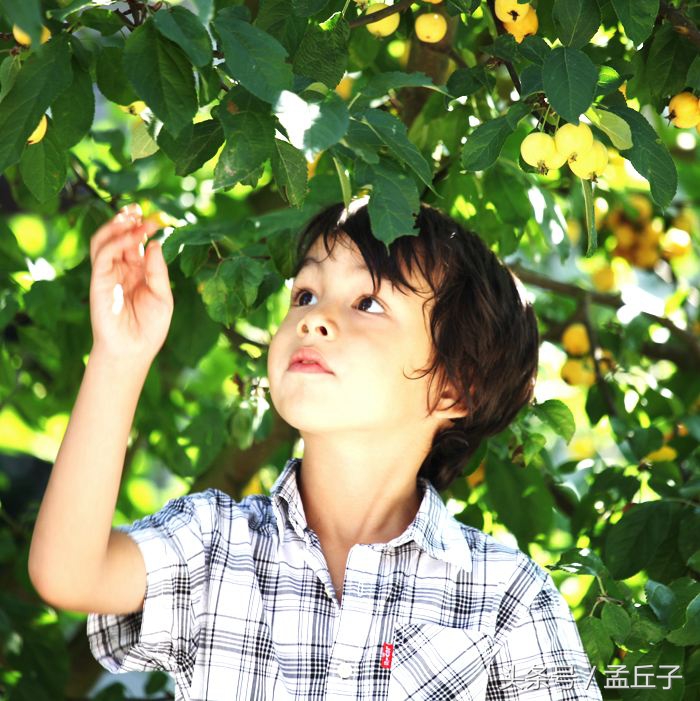 上学路上失踪的少女,校园失踪的少女