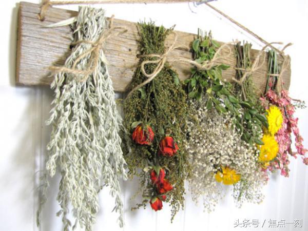 干花怎么样才会制作成功,干花的制作方法有哪些步骤