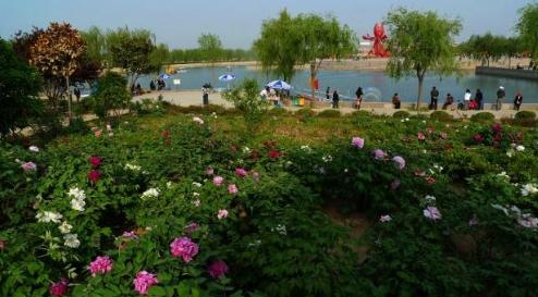 世界那么大！我想去看看之山东菏泽！