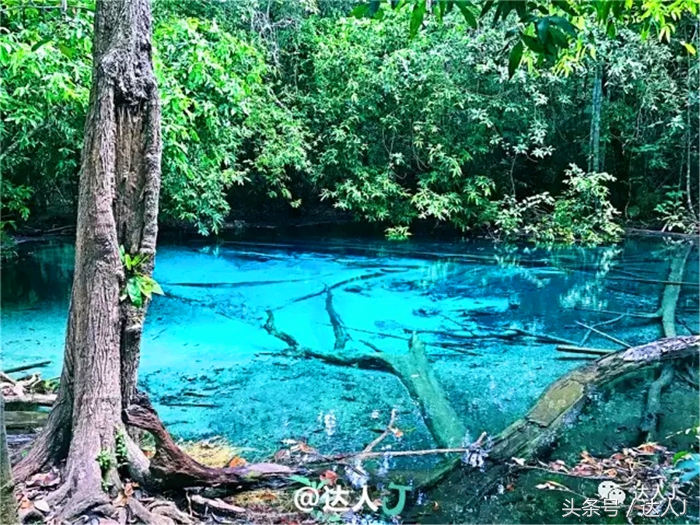显然不适合玩婚内出轨！全泰国最大的泳池原来在这里