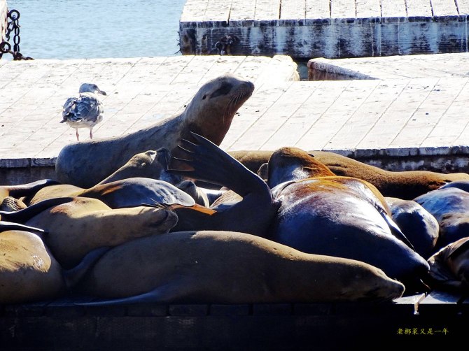 心在路上中文版,心在路上完整版教程