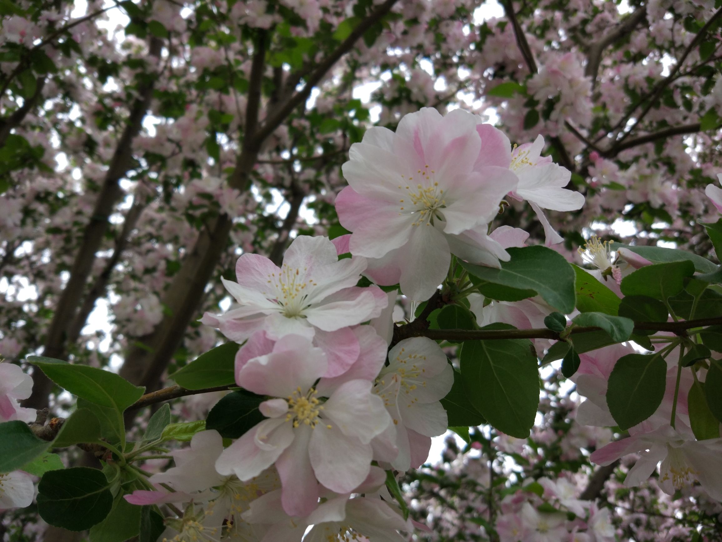 北京内可以带孩子去的小型动物园,二月份带娃去了北京动物园