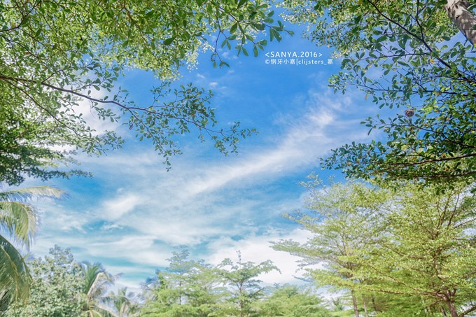 邂逅橘色夏天，让我吻你最后一次的温柔，再去三亚天荒地老