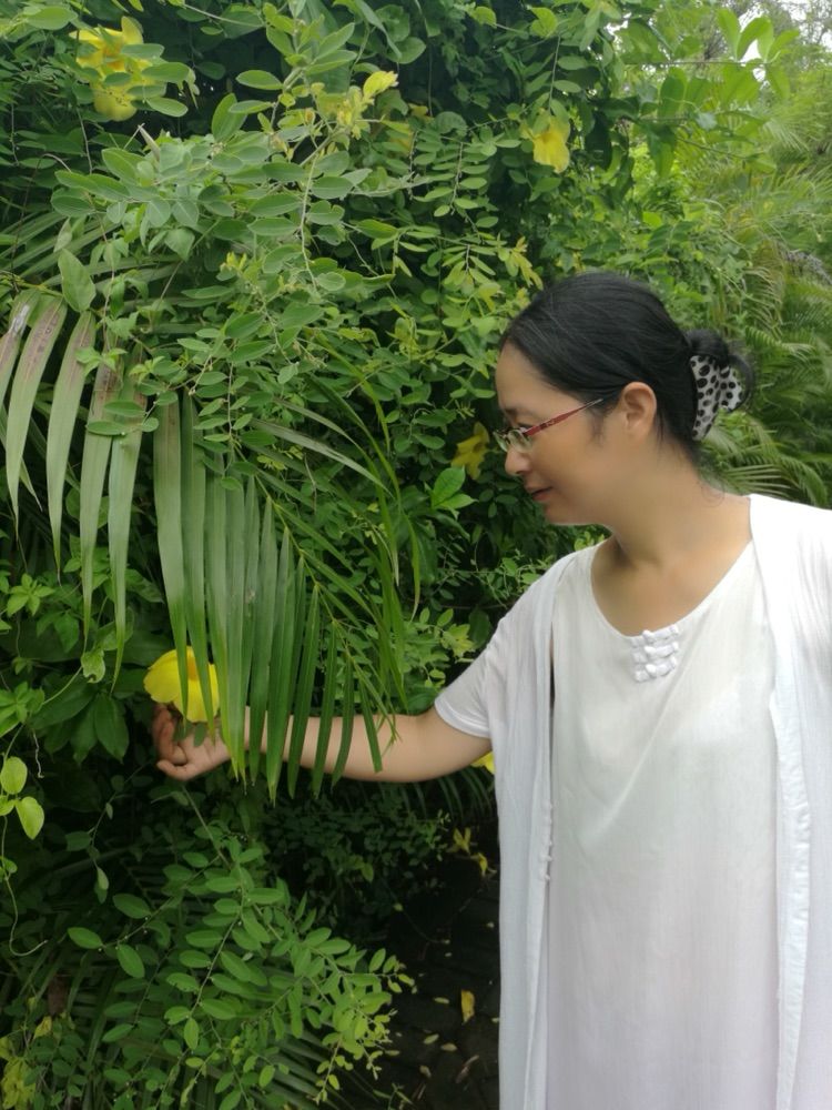 浪在枕边海在眼前——海南三亚行