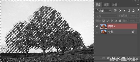 零基础ps抠图换背景详细步骤,ps局部换背景图片教程